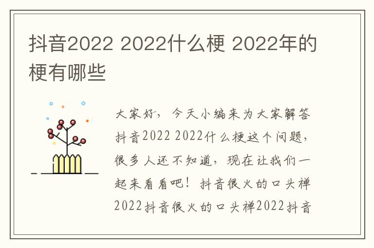抖音2022 2022什么梗 2022年的梗有哪些